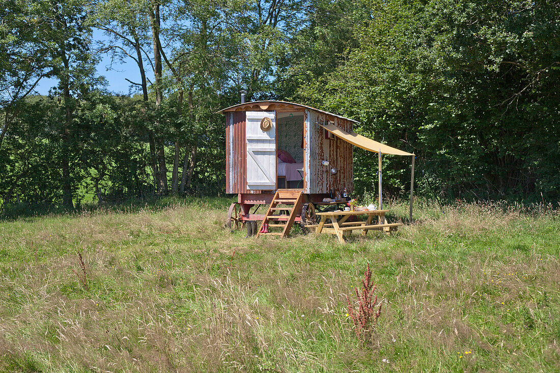 A Shepherds Hut in a summer meadow with a canvas canopy for a makeshift kitchen diner and open door with steps to the room inside