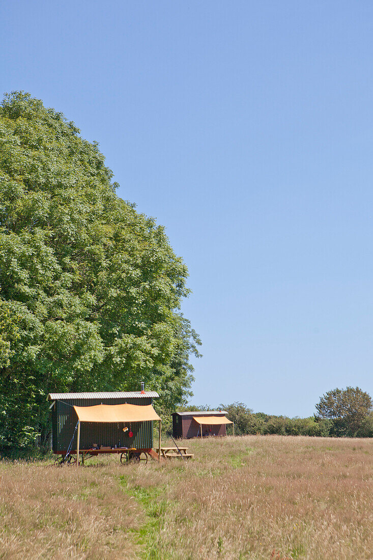 A Shepherds Hut in a summer meadow with a canvas canopy for a makeshift kitchen diner and open door with steps to the room inside