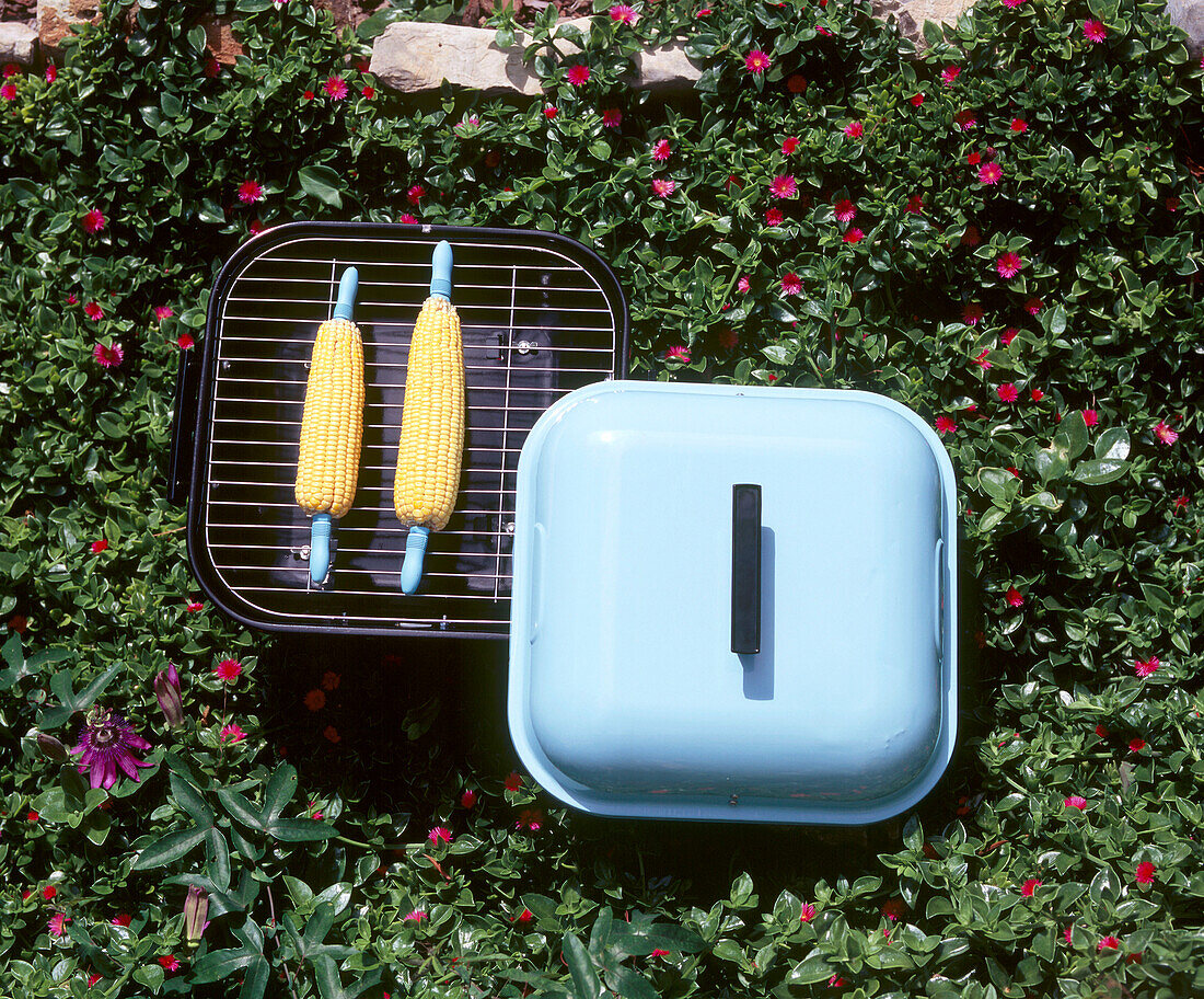 Small portable bbq amongst a flower bed