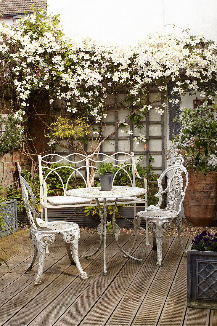 Flowering jasmine with wrought iron table and chairs on decking with trellis semi-detached home UK