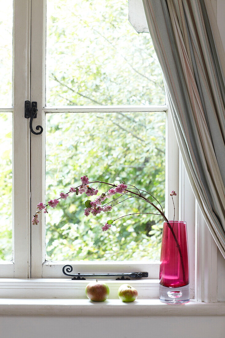 Cut flowers with apples on windowsill in East Cowes home, Isle of Wight, UK