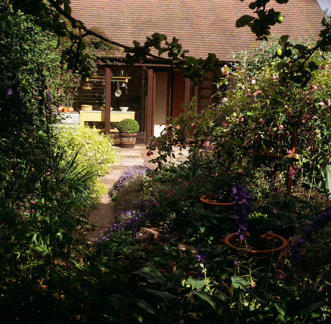 View through back garden to kitchen and back door