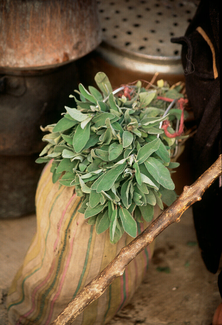 A basket of fresh sage at a market stall in the medina Fez Morocco