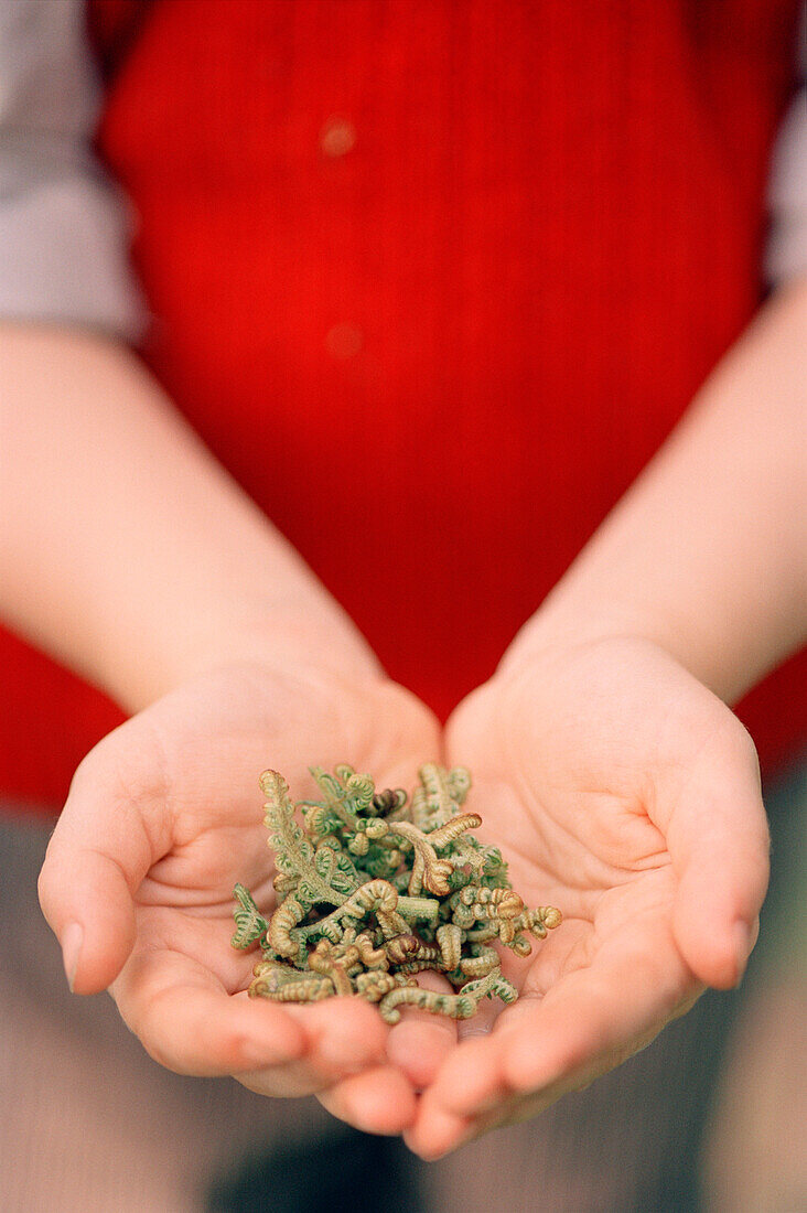 Boy holding ferns close-up