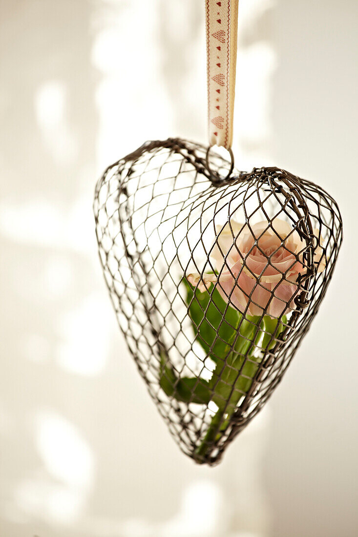 Single stem rose in a metal heart