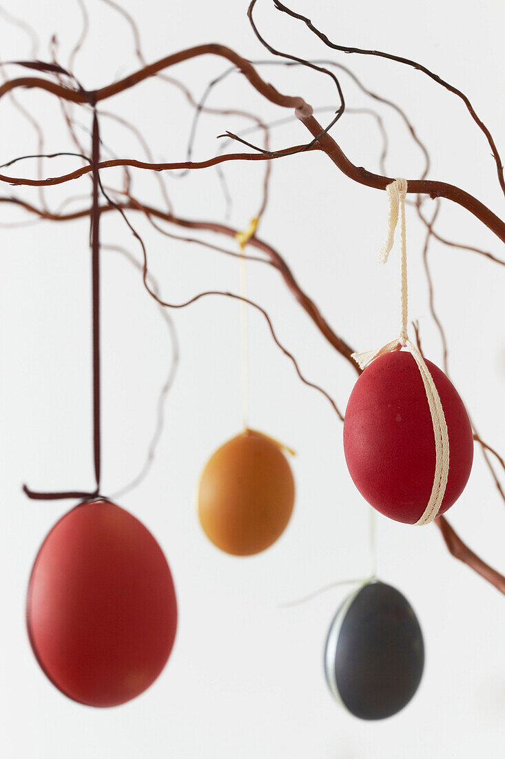 Decorated Easter Eggs tied with ribbon