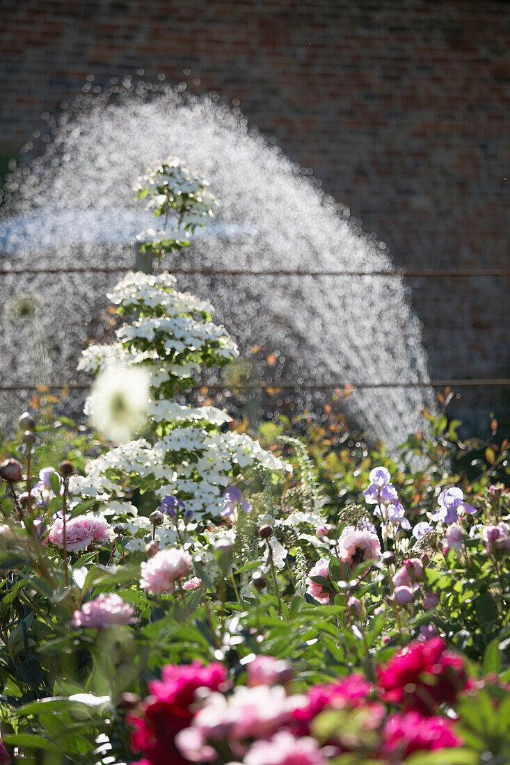 Eingerichteter Sommer-Landgarten