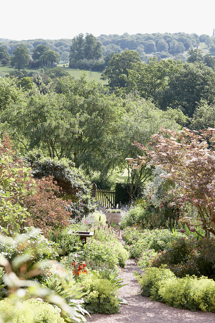 Established summer country garden