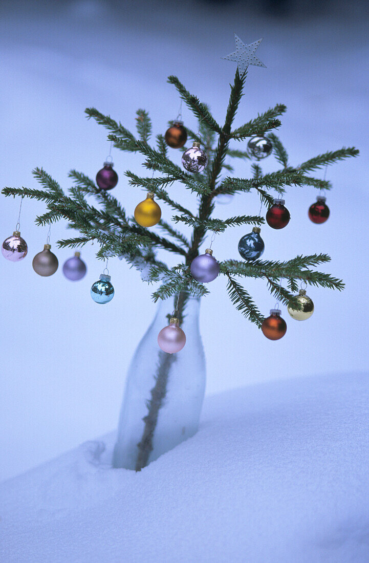 Decorated Spruce branch in a milk bottle