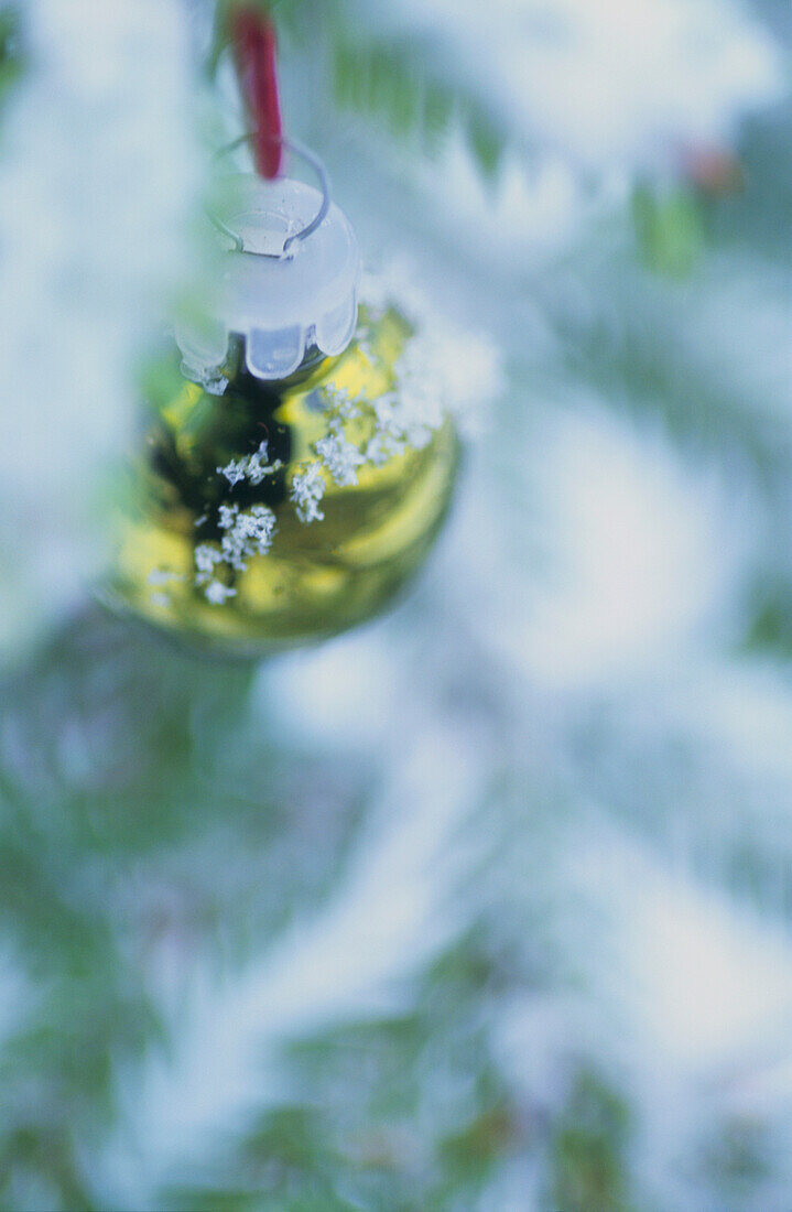 Christmas bauble hanging from a tree