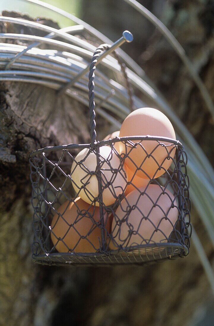 Eier in einem Drahtkorb