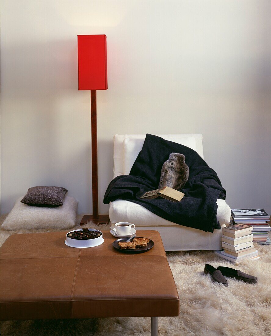 Wärmflasche und Überwurf mit Büchern auf Sessel mit roter Stehlampe und Lederhocker