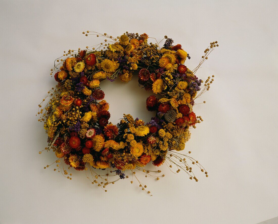 Wreath of dried flowers on white background