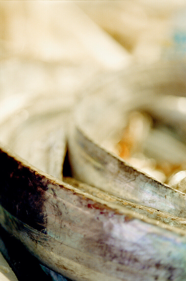 Silvery eels on sale at fish stall in the market in Salamanca