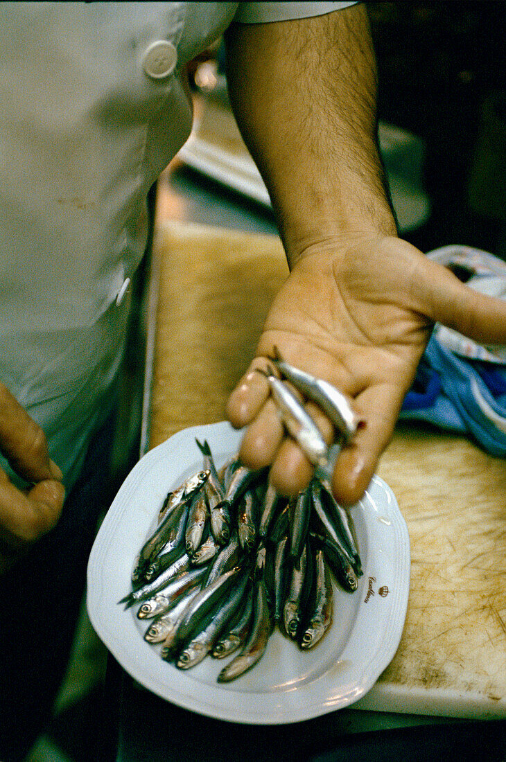 Tapas chef holding fresh anchovies in his kitchen