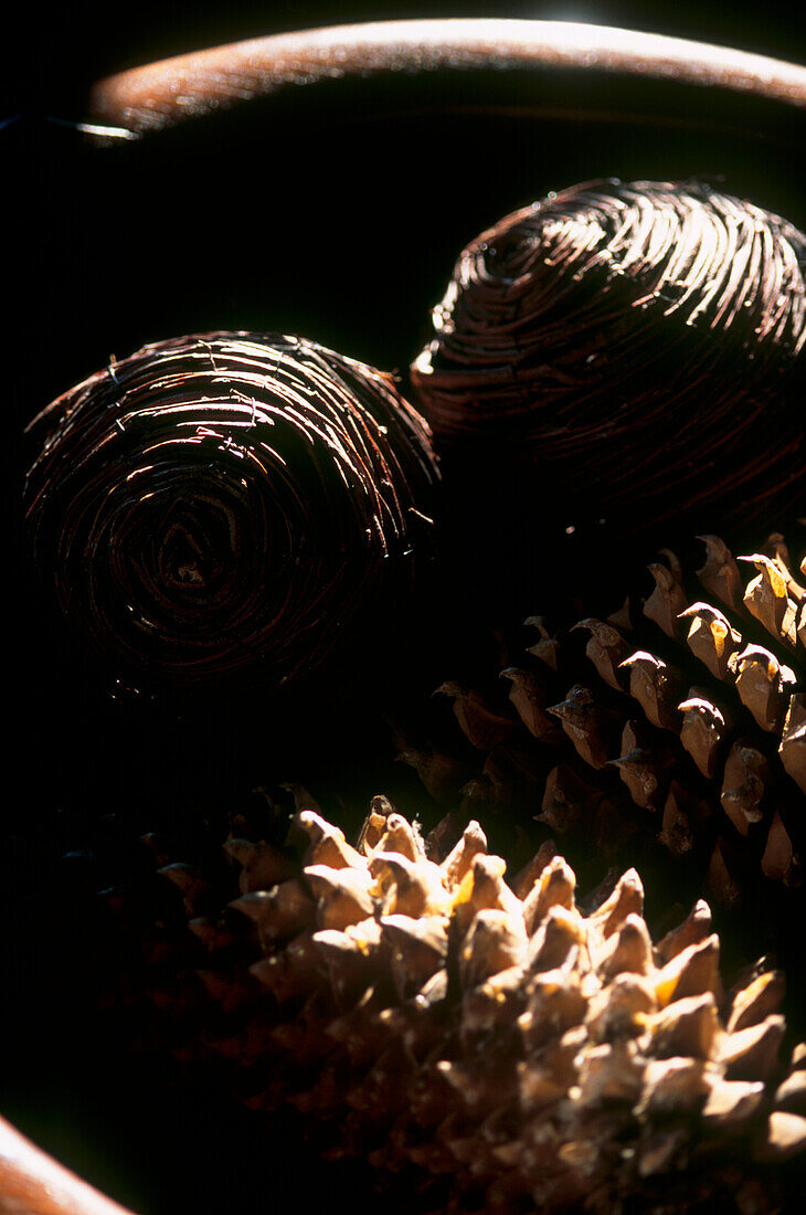 Close up of pine cones in wooden bowl