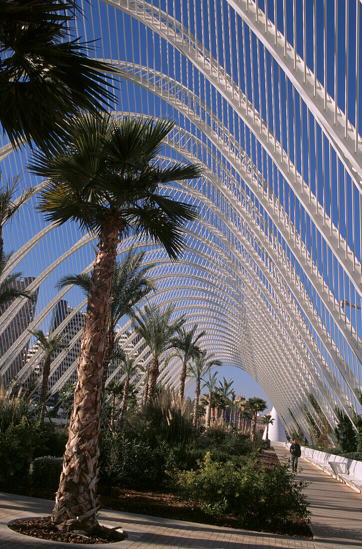 Walkway at the City of Arts and Sciences Valencia