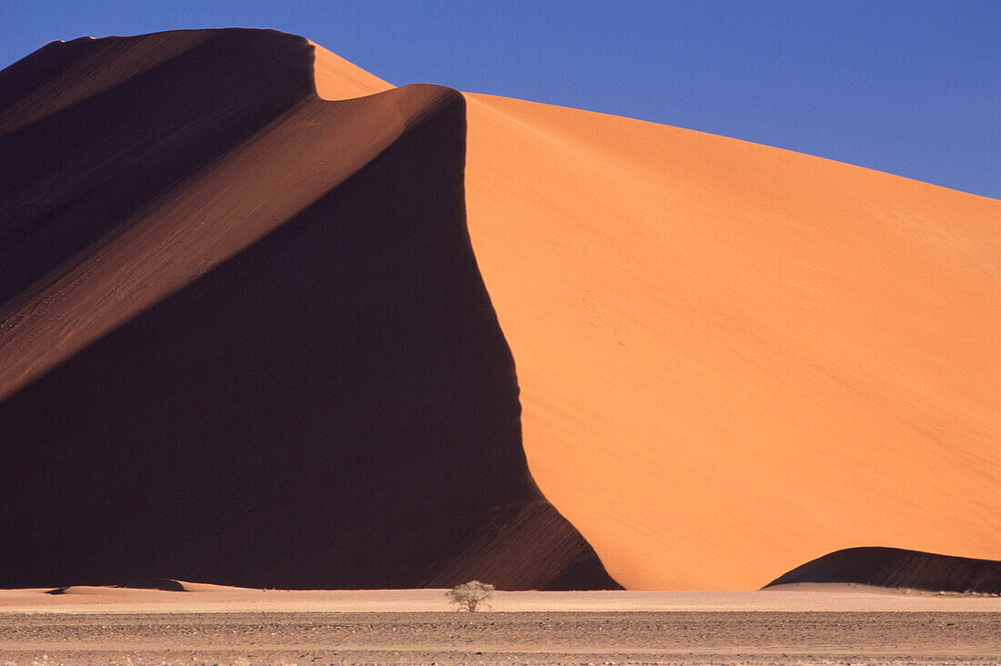 Dune 45 near Soususvlei in the Namib-Naukluft Park Namibia