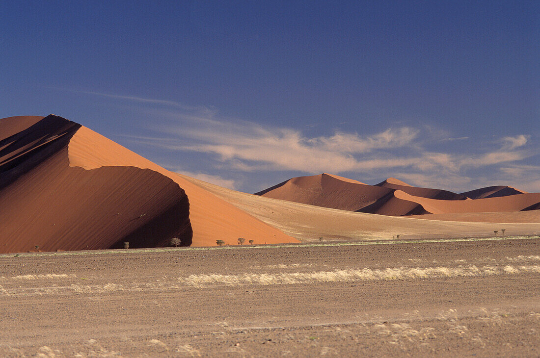 Dune 45 near Soususvlei in the Namib-Naukluft Park Namibia