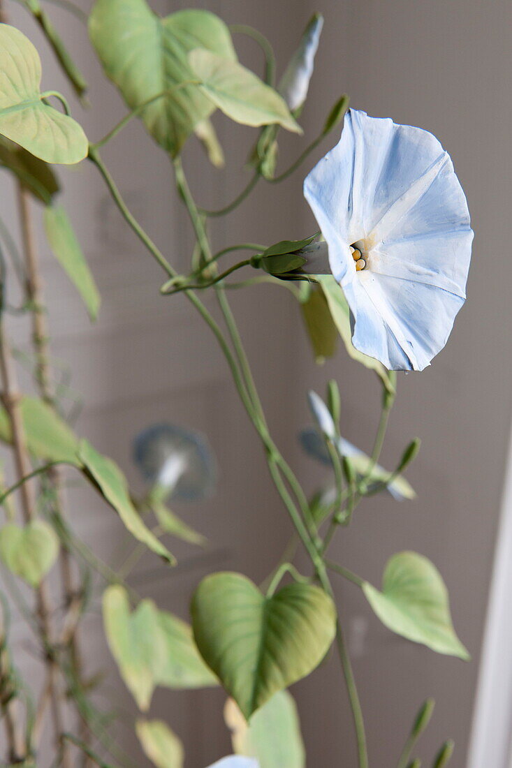 Artificial flowering plant in Bordeaux apartment building,  Aquitaine,  France