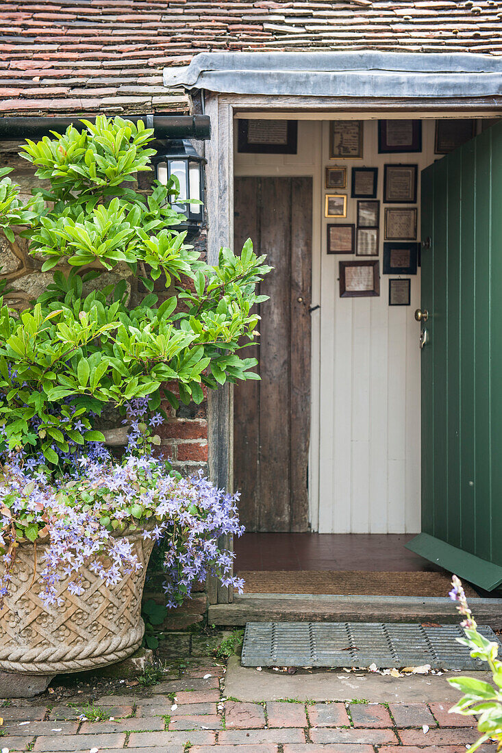 Blick durch die offene Haustür mit großem Pflanzkübel auf das Ashford-Bauernhaus in Kent, Großbritannien