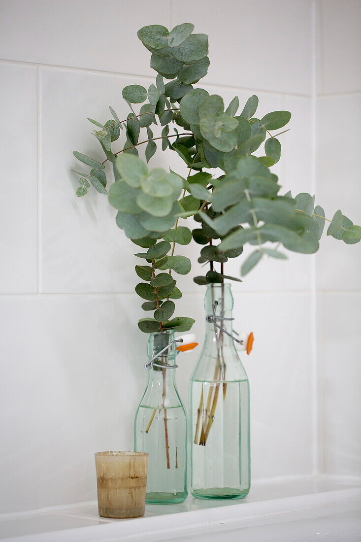 Green leaves in vintage bottles in Petworth farmhouse West Sussex Kent