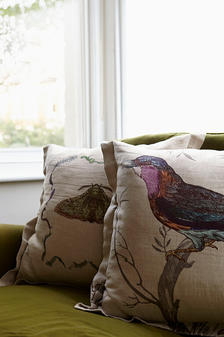 Bird print on cushion in contemporary London home   England   UK