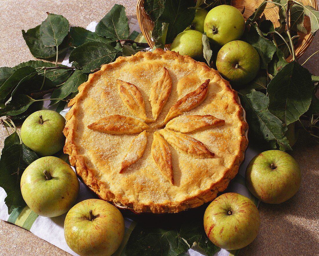 Appel Pie (gedeckter Apfelkuchen mit Mürbteig) in der Form
