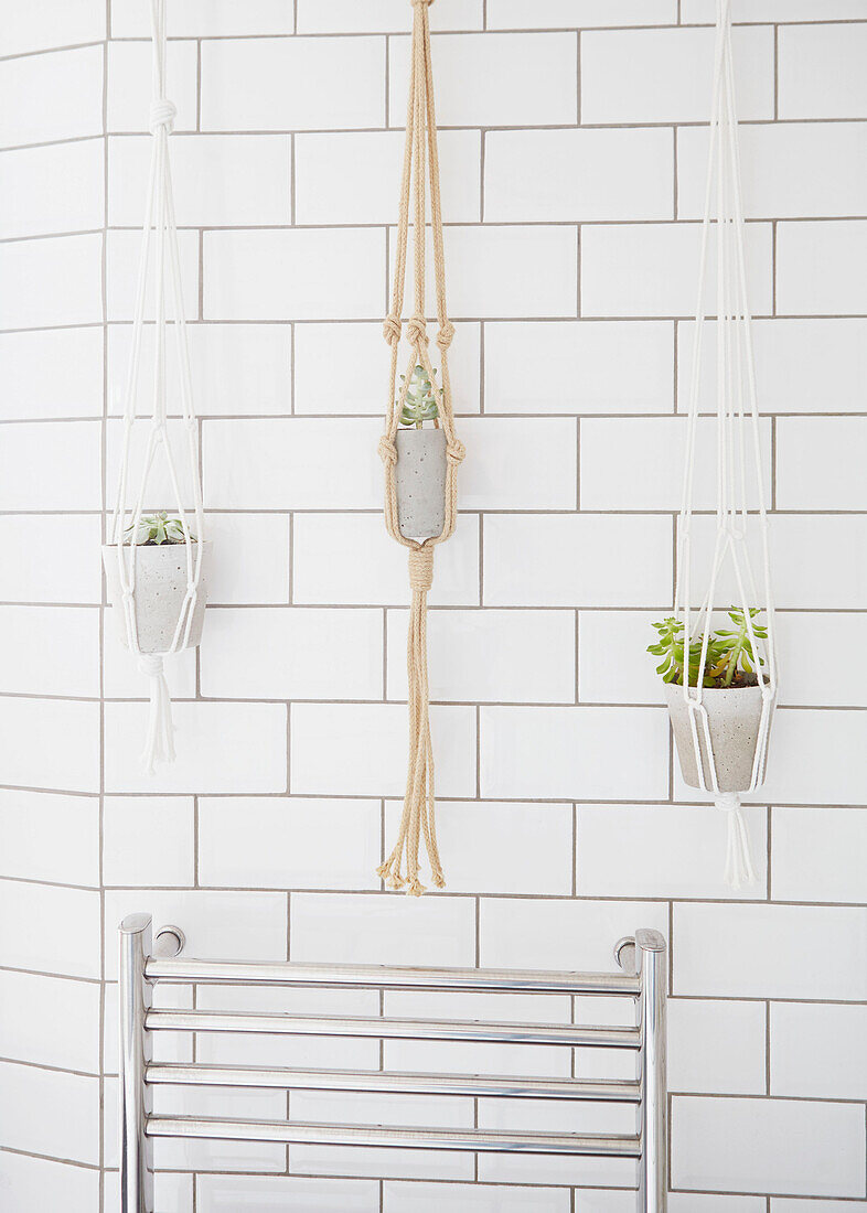 Seil-Pflanzenbügel über einem Wandheizkörper in einem weiß gefliesten Londoner Badezimmer UK