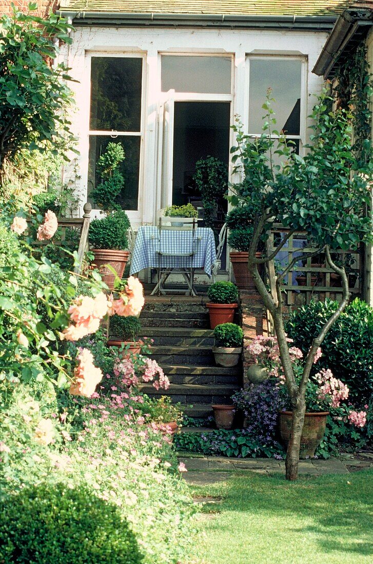 Rear established domestic garden with steps leading to back door