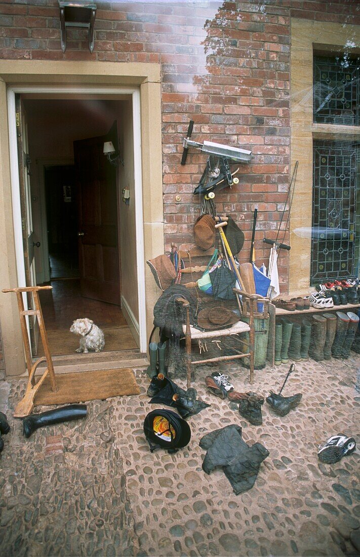 Riding gear in courtyard in front door with white dog