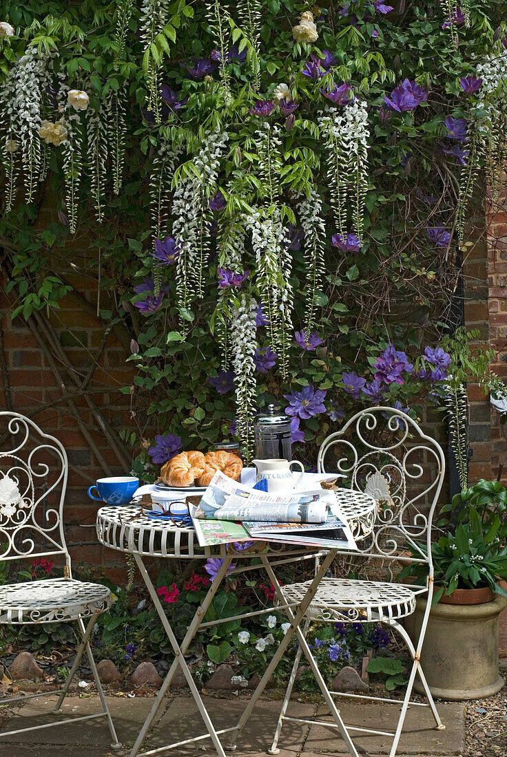 Frühstückstisch mit Croissants und Zeitung unter einer Wisteria-Pflanze