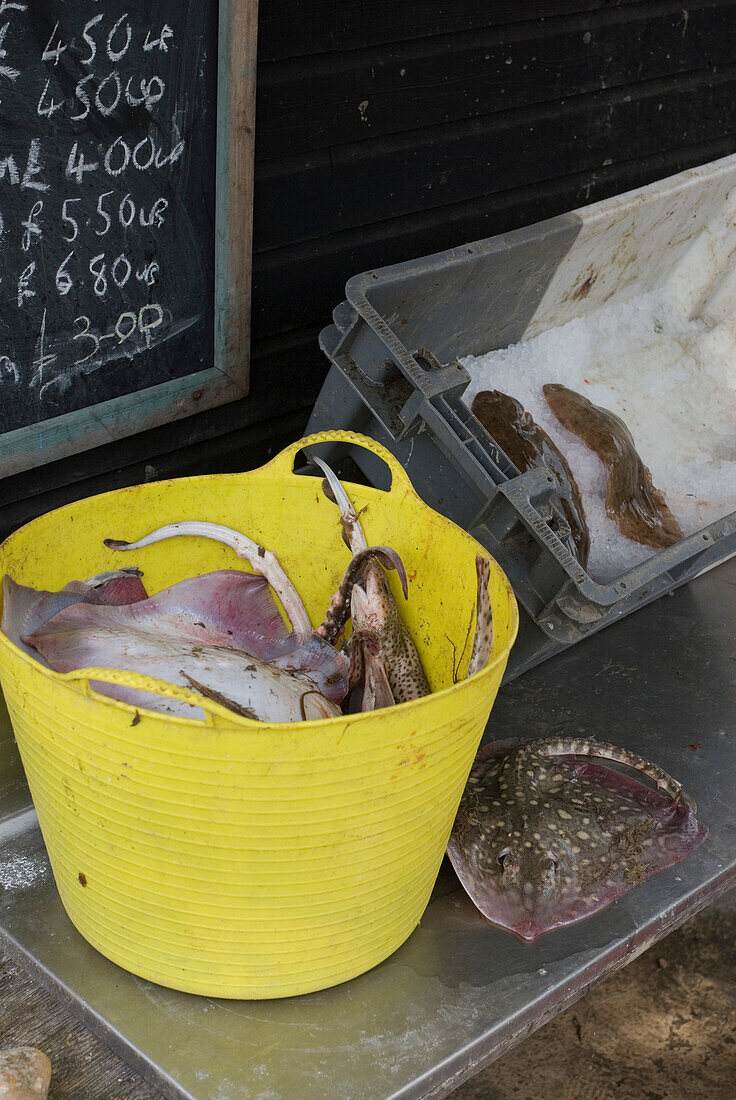 Eimer mit Fisch auf einem Tresen mit Kreidetafel