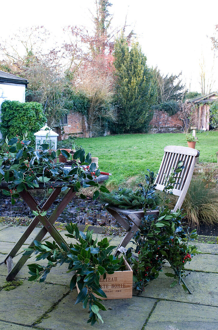 Foliage for christmas decoration in the garden including holly bay and conifer