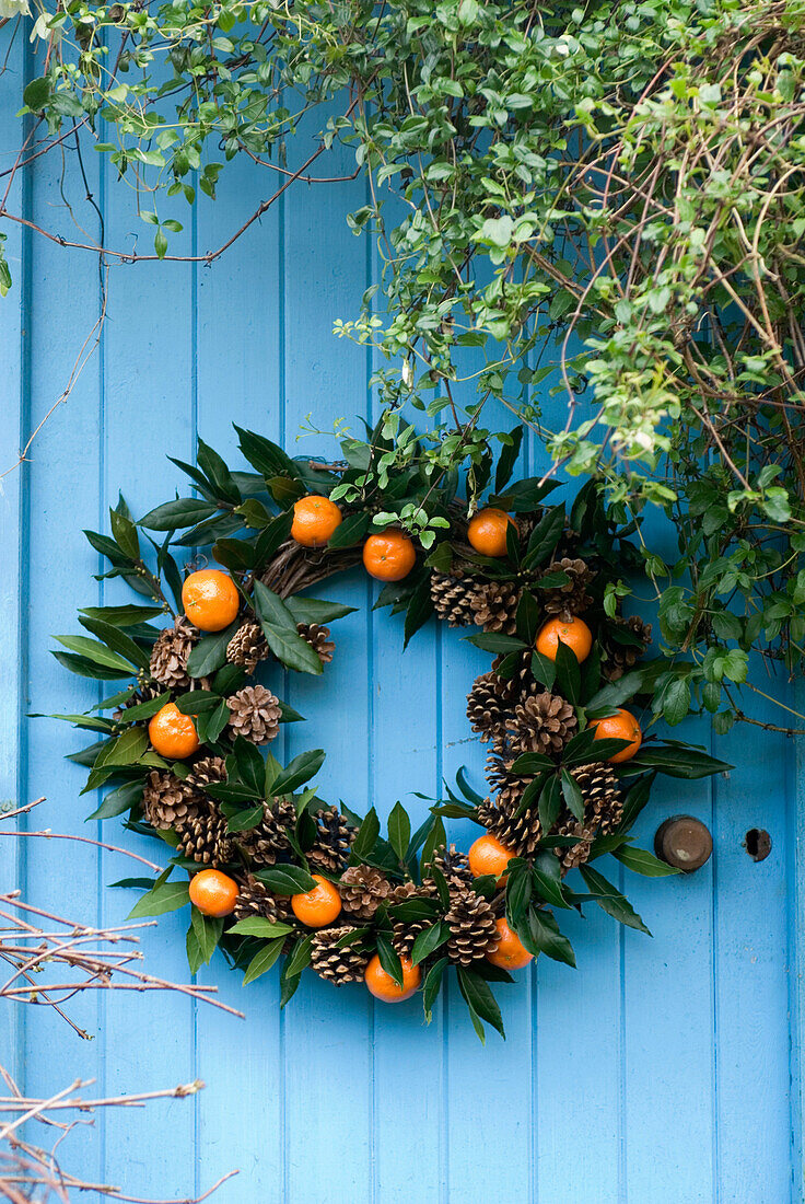 Bay and pine cone christmas wreath with oranges on a rustic blue door