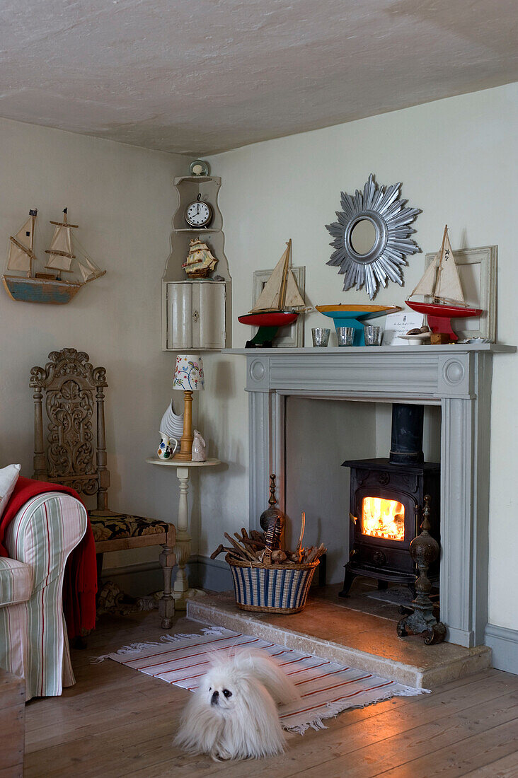 White Maltese dog in front of fireplace