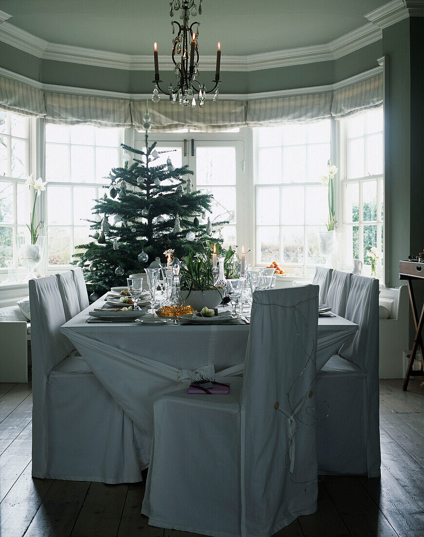 Dining table with place settings and Christmas tree behind