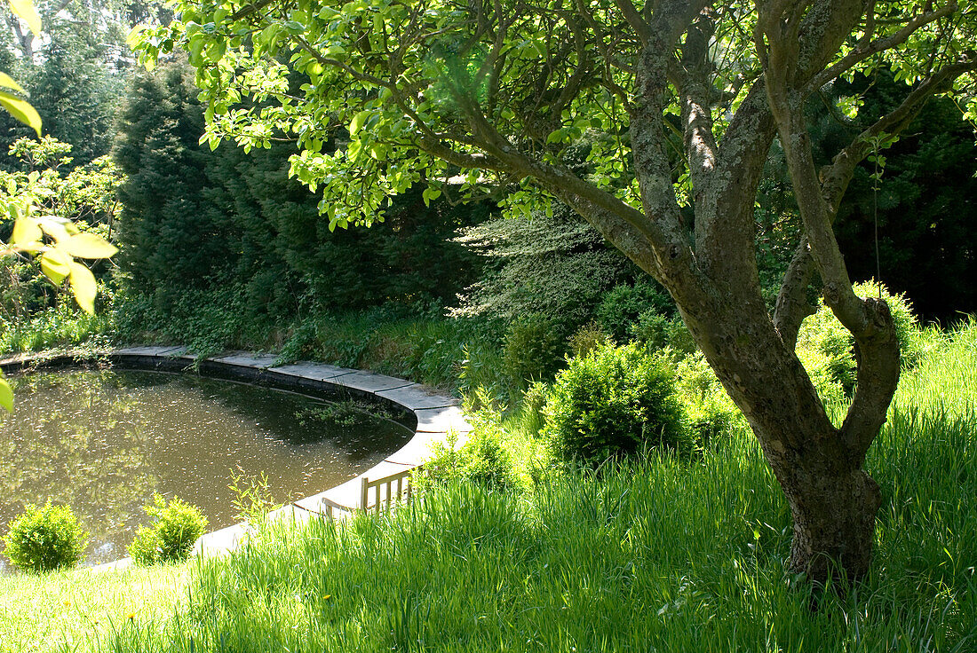 Pond in the garden in sunny day