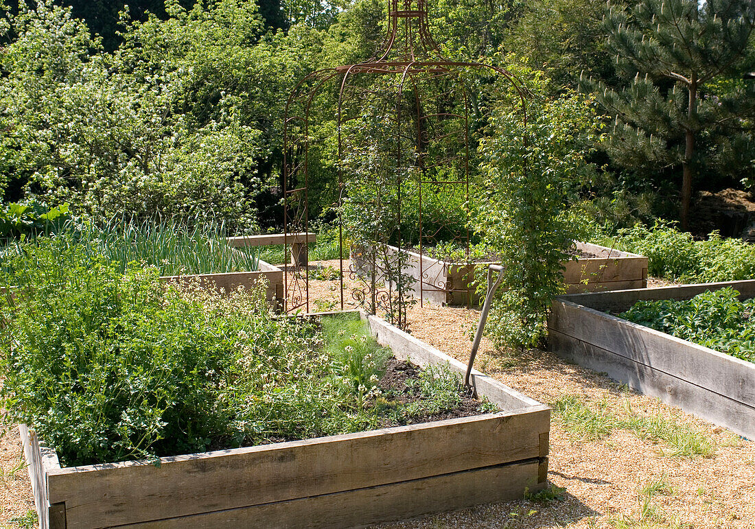 Plants in wooden containers with wooden bench in the garden