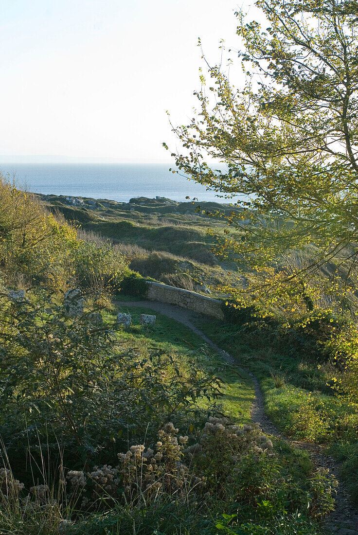 Landschaft mit Meer