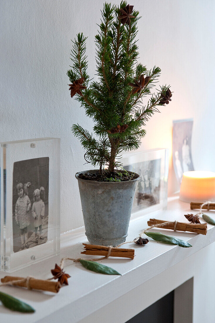 Weihnachtsbaum mit Zimtstangen und mit Schnur gebundenen Blättern auf dem Kaminsims in Richmond