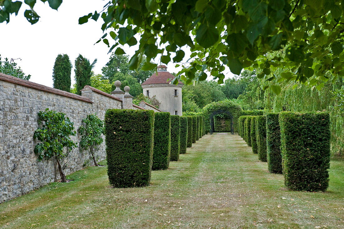 Trimmed hedges and fruit trees in walled garden of Buckinghamshire home, England, UK