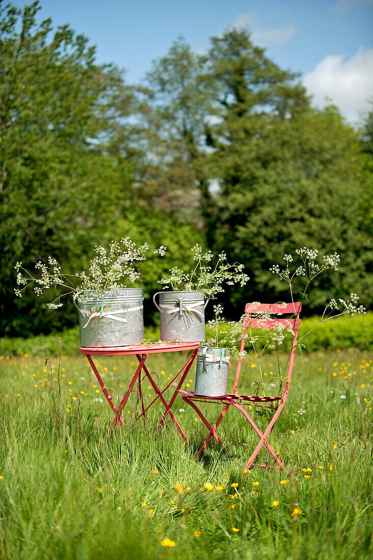 Eimer mit Wildblumen, gebunden mit einem Band, auf einem Feld in Brecon, Powys, Wales, Vereinigtes Königreich