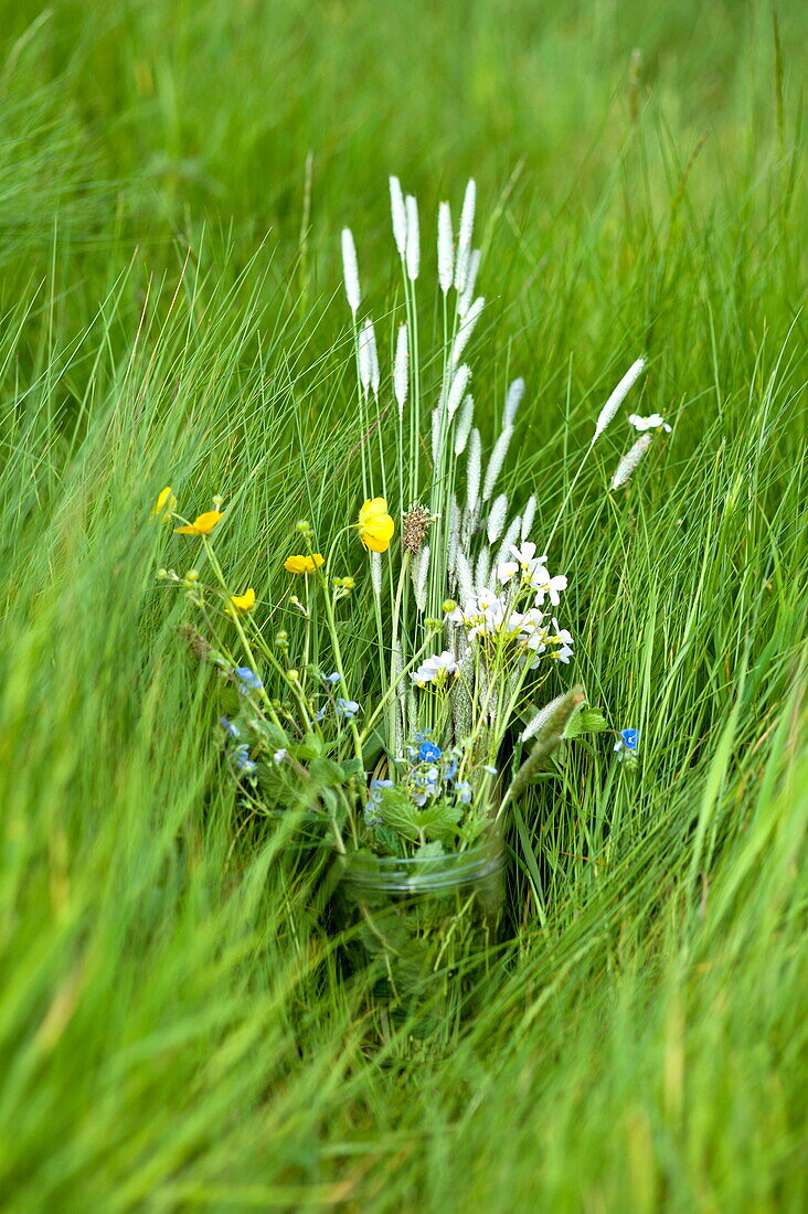 Jar of wildflowers in long grass, Brecon, Powys, Wales, UK