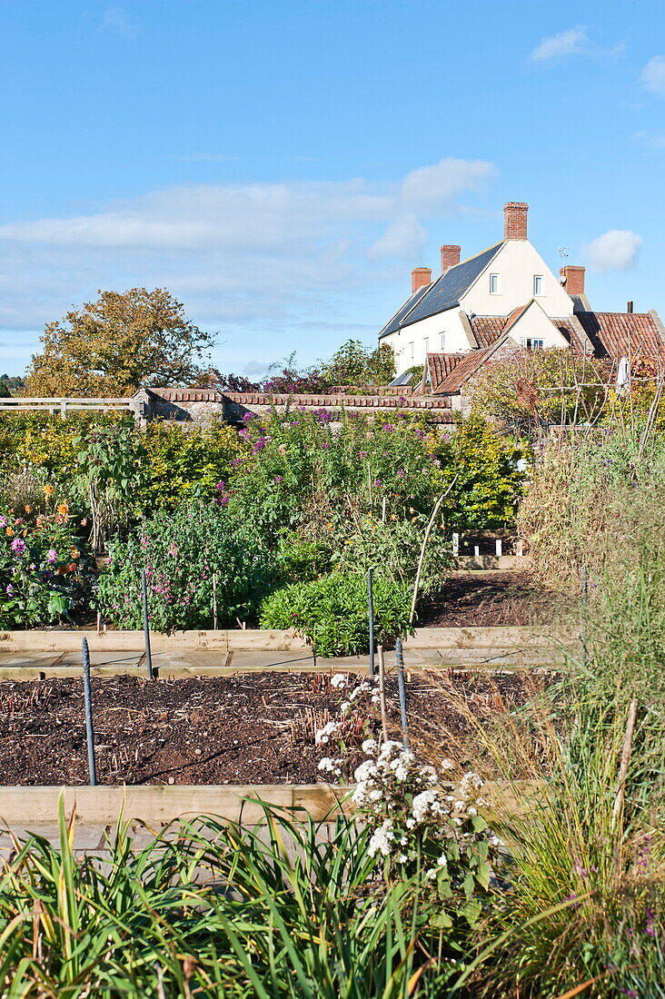 Raised beds in kitchen garden of rural farmhouse, Blagdon, Somerset, England, UK