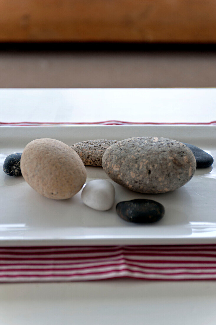 Assorted shells on ceramic tray in beach house Cornwall England UK