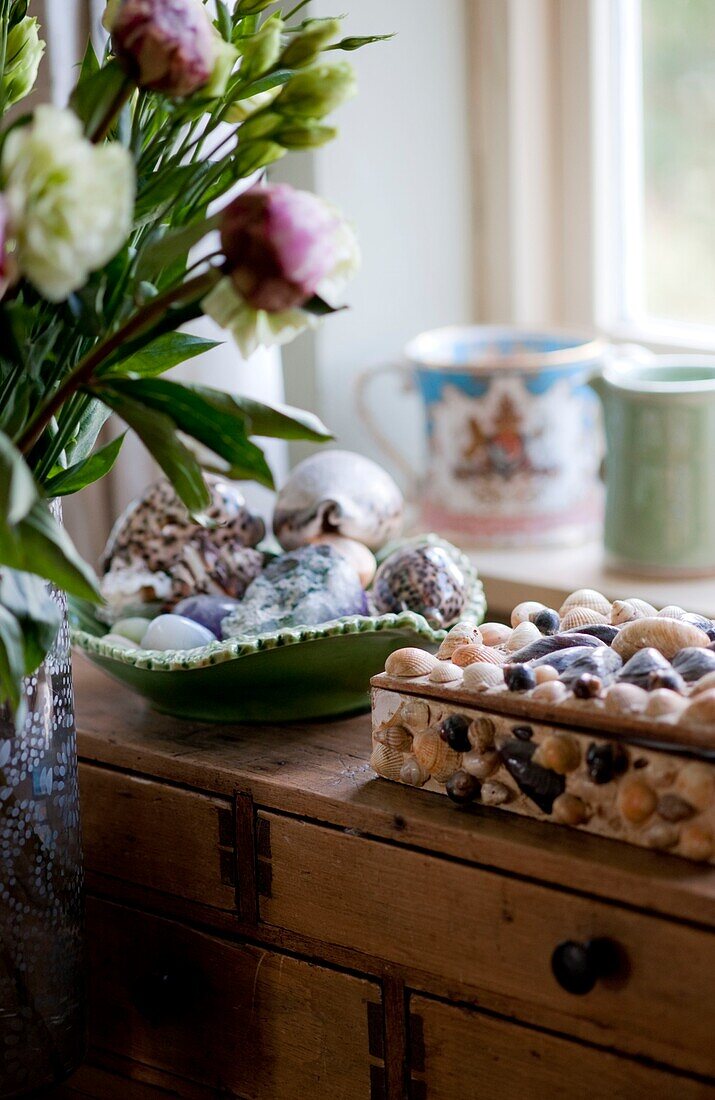 Muschelschatulle und Schnittblumen auf hölzernem Sideboard in Edworth cottage Bedfordshire England UK