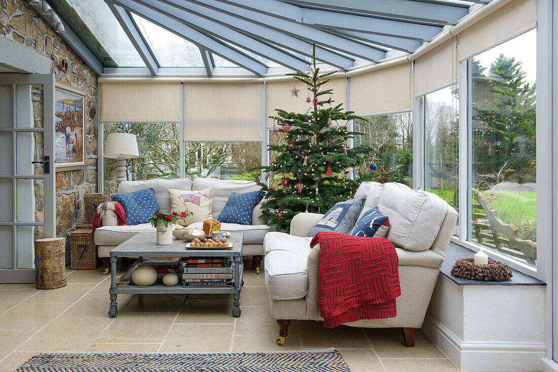 Christmas tree in conservatory extension of Penzance farmhouse Cornwall UK