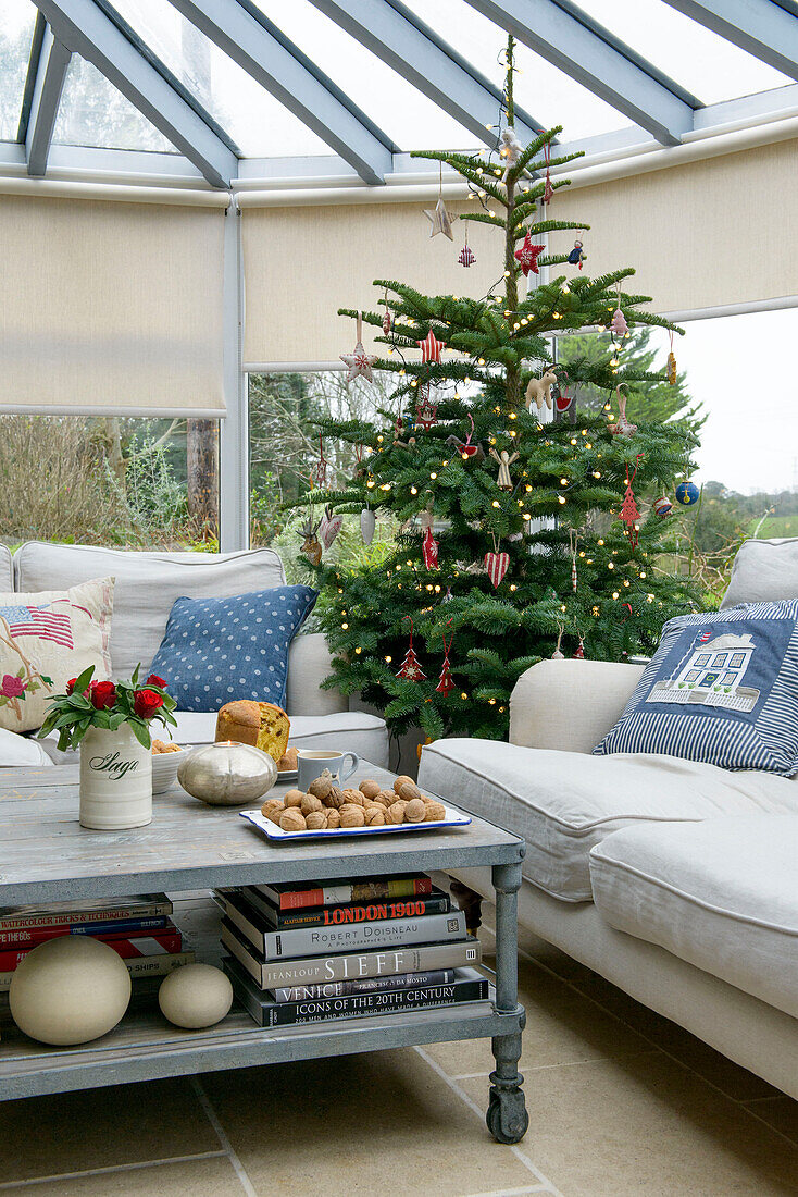 Weihnachtsbaum im erweiterten Wintergarten eines Hauses in Penzance, Cornwall, UK