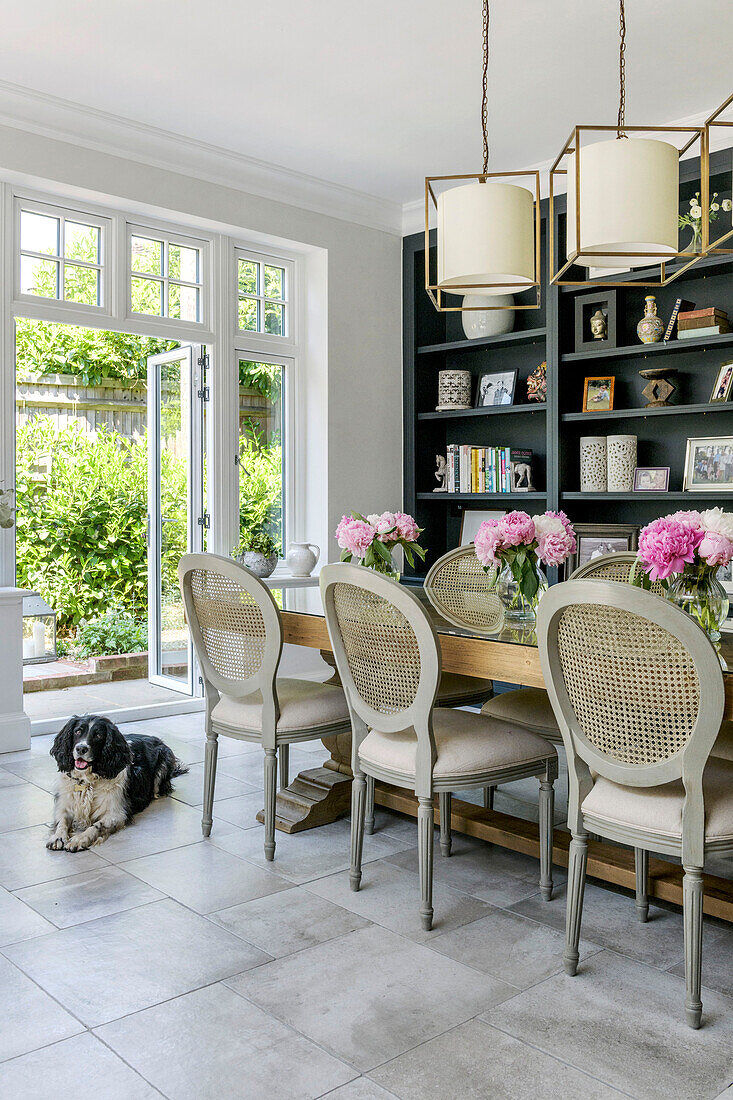 Springer spaniel at open doorway of dining room extension in grade II-listed Victorian home Godalming Surrey UK